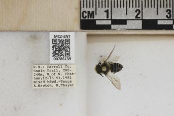 Media type: image;   Entomology 786139 Aspect: Labels